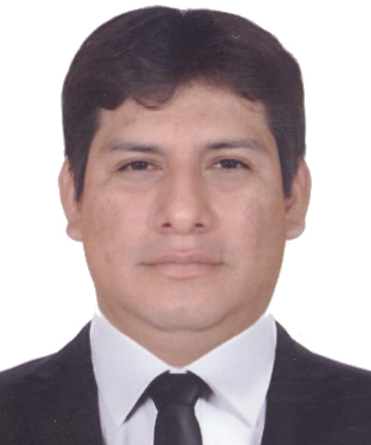 VILLAFANA SALDAÑA GIANCARLO